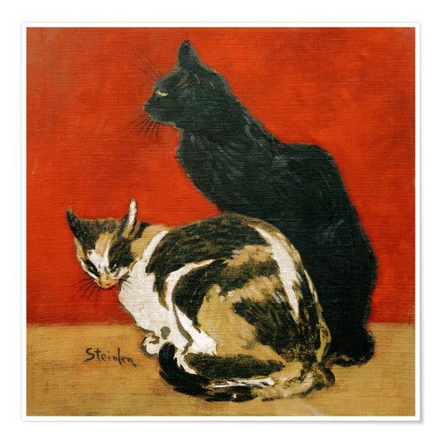 Oggi è la Festa del gatto: da protagonista nell'arte fino a star dei social, è sempre più un mondo a quattro zampe
