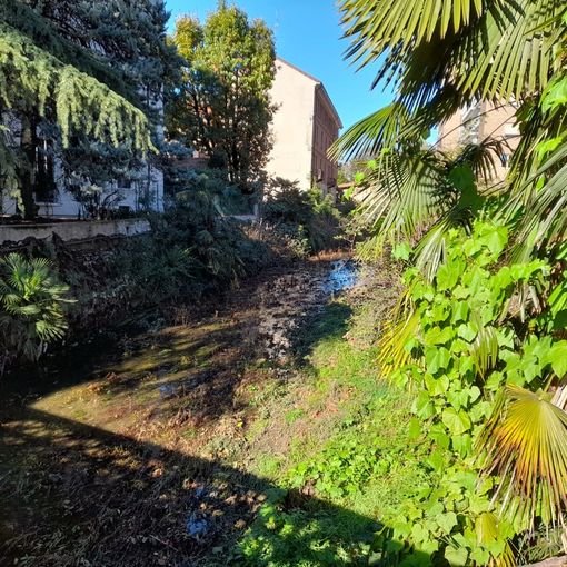 Gallarate: l’Arnetta s’è desta?