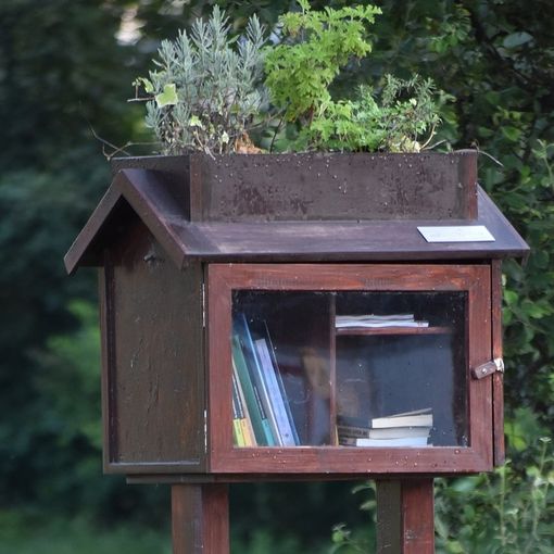Casetta o cassetta a Gallarate: la bacheca dei libri in via Gorizia diventa un caso