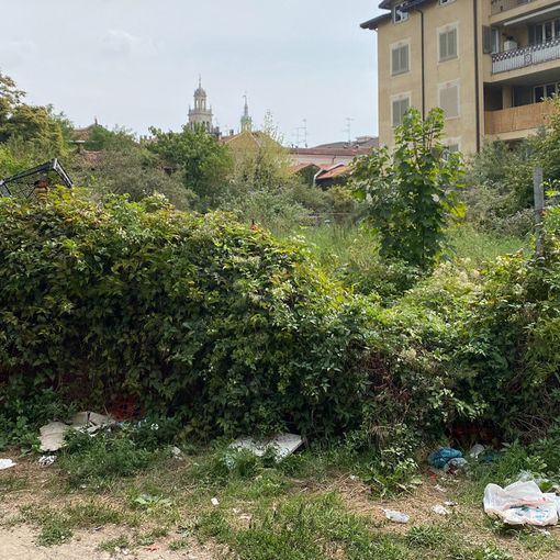 Alcune immagini della situazione nell'area dell'incendio