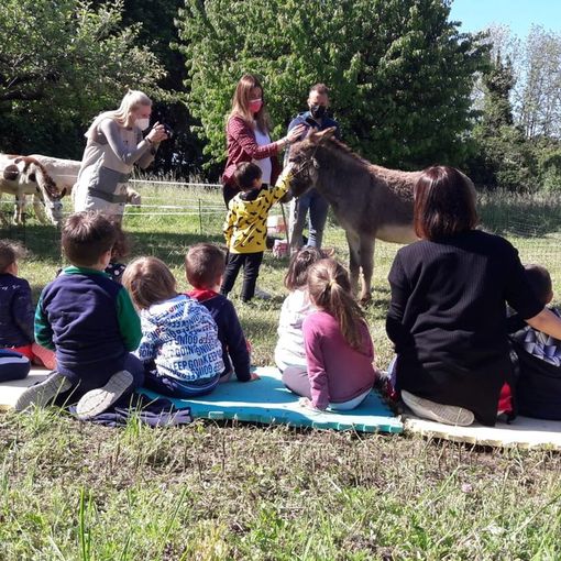L'asinello Arno incontra i bambini (vedi anche foto in fondo all'articolo)
