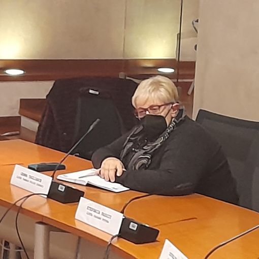 La consigliera comunale Gemma Tagliabue