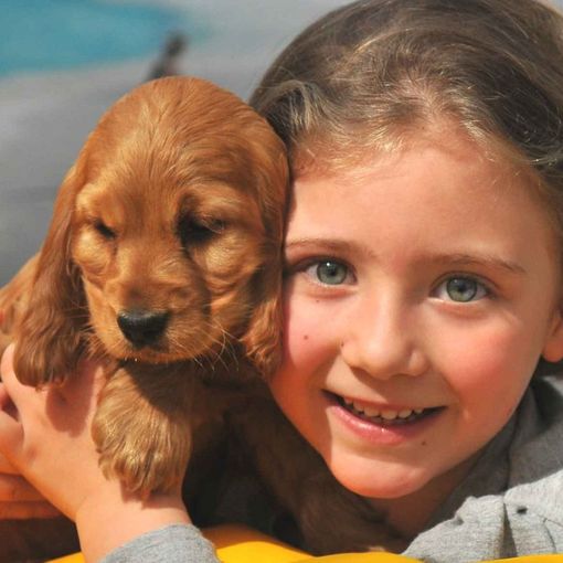 Immagine tratta dalla campagna contro l'abbandono di animali domestici promossa dai comuni di Gorla Maggiore e Olgiate Olona