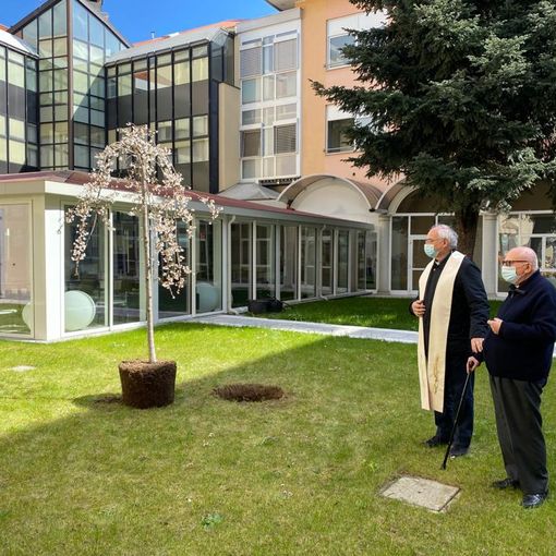 La Provvidenza mette a dimora una pianta di ciliegio nella giornata in memoria delle vittime del Covid. «Il ricordo degli anziani nei nostri cuori»