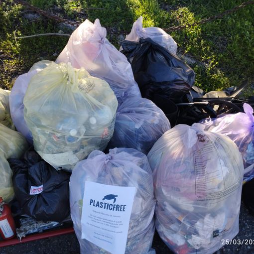 Plastic Free e la pazienza del mozzicone: a Gallarate, 25 sacchi di spazzatura abbandonata raccolti in viale Milano