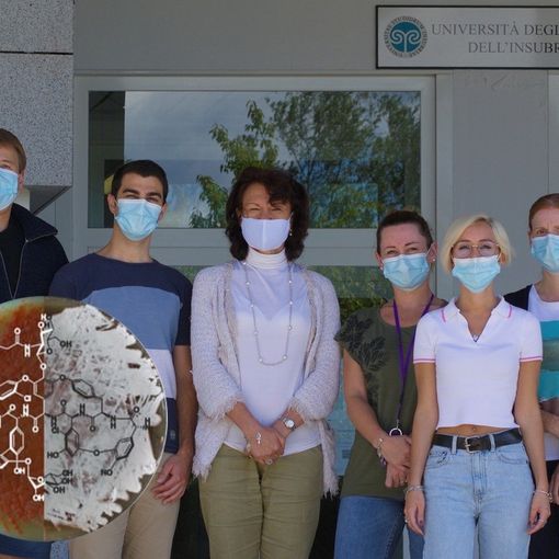 Nuovo antibiotico scoperto nei laboratori dell’Insubria: un’arma contro le infezioni batteriche