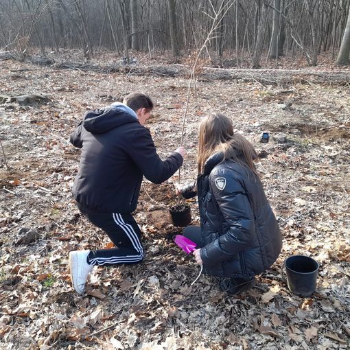 Nuovi alberi sul territorio: studenti gallaratesi in trasferta a Samarate
