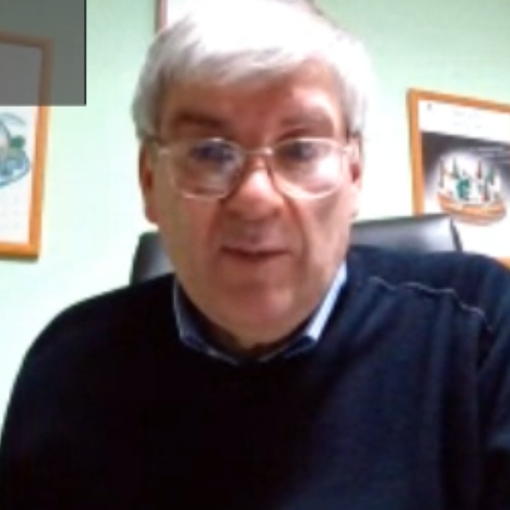 Il presidente di Accam, Angelo Bellora, ascoltato in commissione