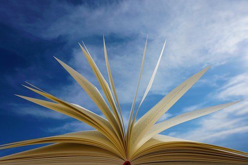 Giornata mondiale del libro a Samarate, nel segno di Ercole Ferrario