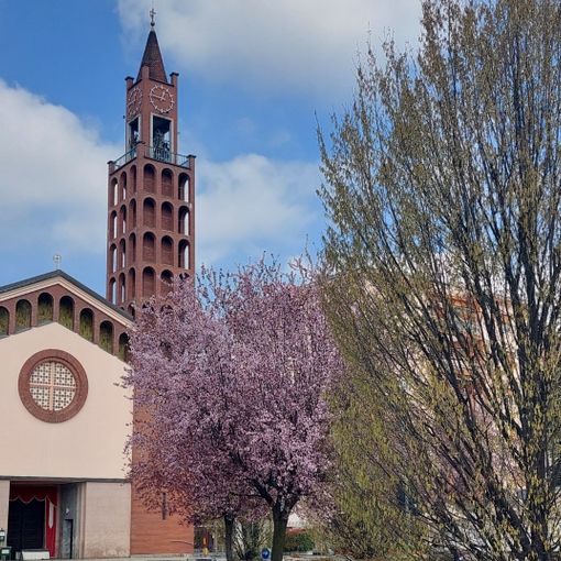 FOTO. È arrivata la primavera e le piazze di Olgiate si vestono di fiori