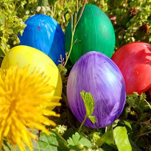 Sociale, verde, svago: che weekend a Marnate