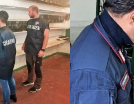 Detenzione di uccelli selvatici, blitz dei Carabinieri Forestali a Somma: controllati 5 allevatori, 61 esemplari sotto esame