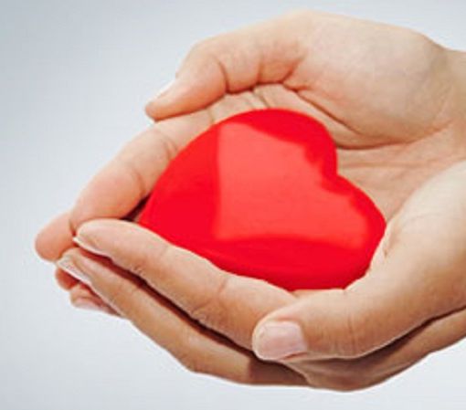 Plasma «prezioso più dell'oro»: il messaggio e il ringraziamento dei donatori Avis di Fagnano Olona