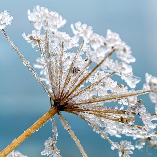 Il grande freddo è in ritardo ma arriverà: da stasera sul Varesotto forte gelo e qualche fiocco di neve