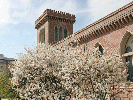 Un weekend di iniziative per famiglie ai musei civici di Busto