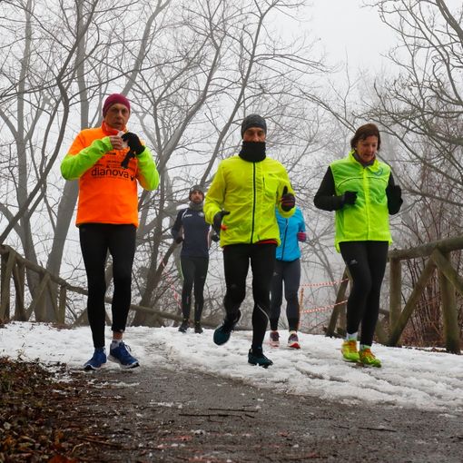 Aranciolona tra freddo e neve