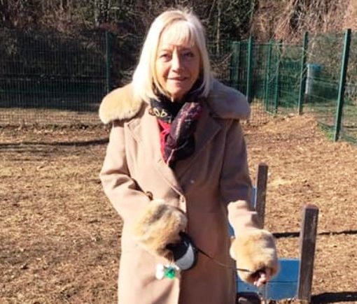 Olgiate, Luisella Tognoli si dimette. Montano perde un altro assessore