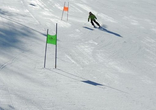 Campionati Bustesi di sci