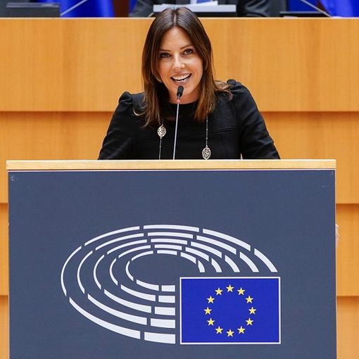 Air Italy, Tovaglieri: «Questione da affrontare al Parlamento Europeo»