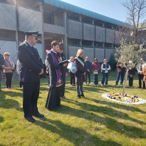 La comunità castellanzese si stringe intorno all’ulivo in memoria delle vittime del covid