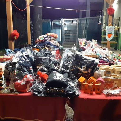 Mercatini di San Valentino al canile di Busto. Un gesto d’amore per gli amici a quattro zampe