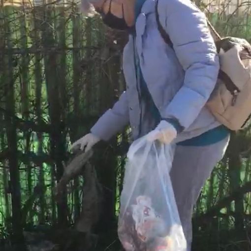 Nasce il Circolo Laudato Si’ di Busto Arsizio-Gallarate: «Guardare al piccolo per responsabilizzarsi in prima persona»