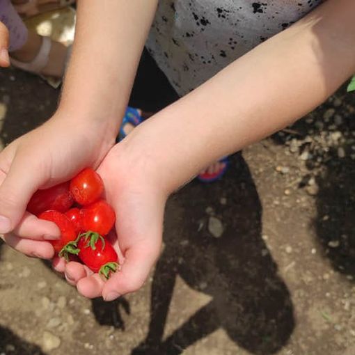 Bimbi della scuola dell’infanzia Beata Giuliana all'opera all'aria aperta e a contatto con la natura