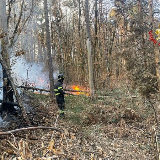 FOTO. Ancora fiamme nel Varesotto: bruciano i boschi a Vergiate, Tradate e Casale Litta