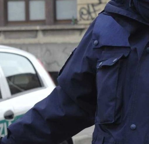 La Polizia locale da marzo farà più controlli su sosta e deiezioni canine - foto d'archivio