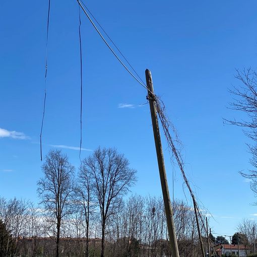 Via Rodari a Busto, i pali in legno della linea telefonica andrebbero sostituiti