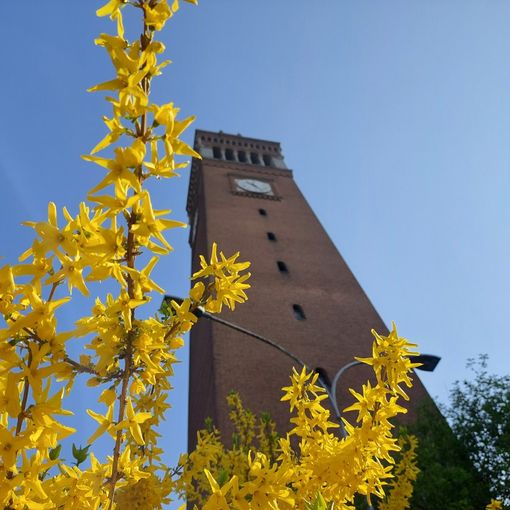 FOTO. A Castellanza le piazze e i giardini ci ricordano che l’inverno è ormai passato