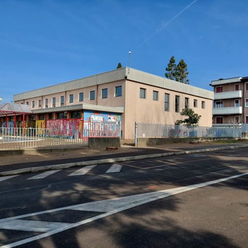 Il Comune di Marnate taglia i pini di fronte alla scuola. «Scelta difficile ma necessaria»