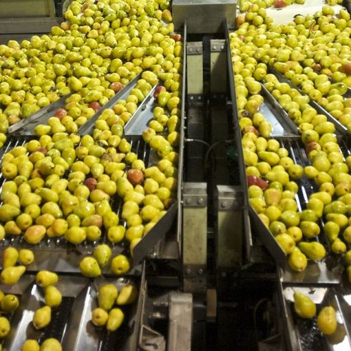Aumentano dell’8,6% i prezzi di produzione dell’industria alimentare