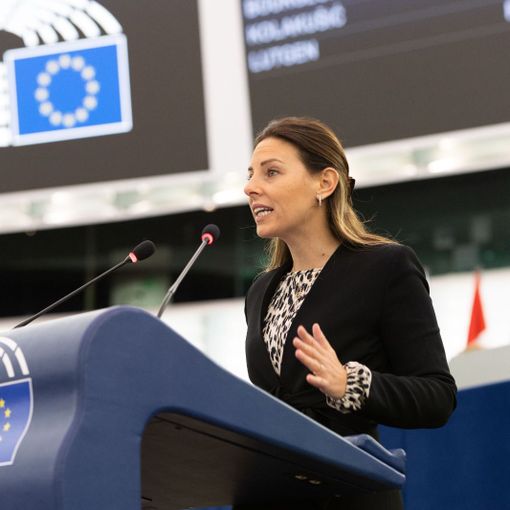 L'europarlamentare Isabella Tovaglieri