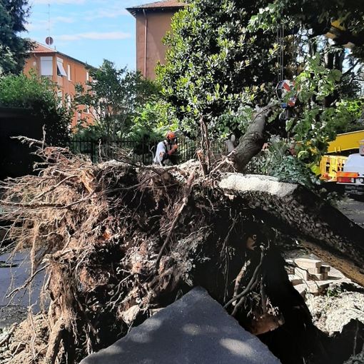 Legnano, emergenza maltempo: avviata la raccolta delle segnalazioni dei danni subiti dalla cittadinanza