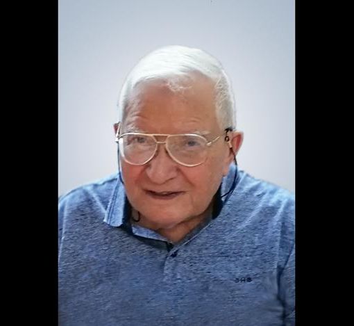 Il professor Lodovico Faggioli
