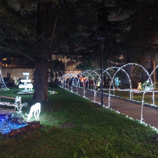 A Olgiate un giardino fatato accende lo spirito del Natale
