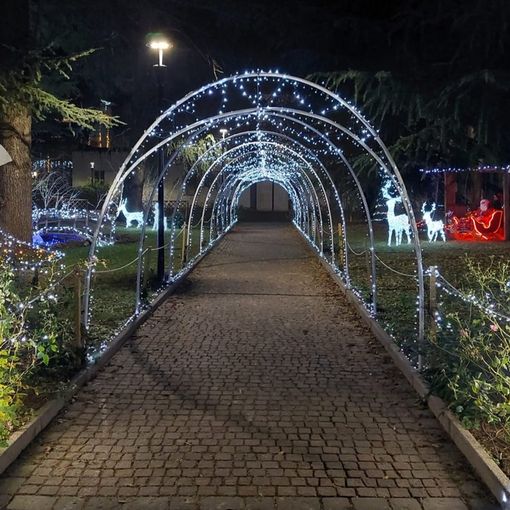 FOTO E VIDEO. Olgiate accende le luci del suo giardino incantato