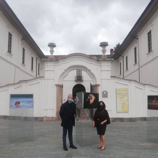 Le immagini arrivate in piazza Vittorio Emanuele a Busto con la vicesindaco Manuela Maffioli e Claudio Argentiero dell'Afi (foto del Comune di Busto)