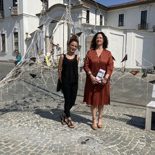 La vicesindaco Maffioli e l'artista Frongia, i diversi punti ammirati anche dallo storico Giavini