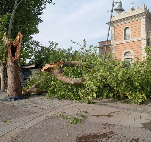 Legnano, i danni del maltempo: alberi caduti, palo della luce piegato e allagamento in via Milano