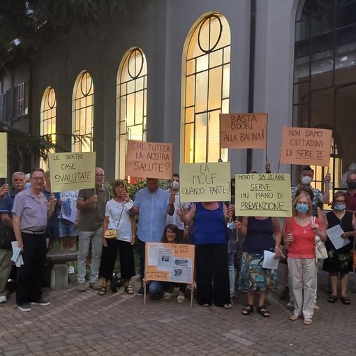 Olgiate, in Consiglio la protesta dei cittadini esasperati per le mosche