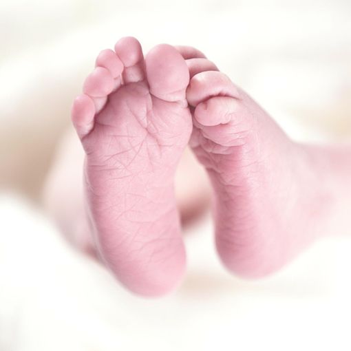 Gallarate, in commissione Welfare focus Baby Card: 109 richieste per il bonus dedicato alle famiglie