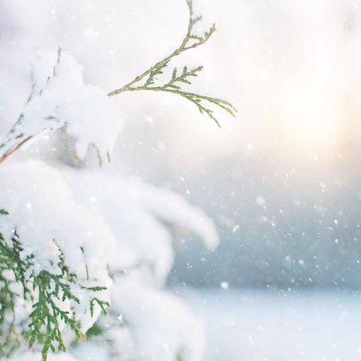A Busto servizio rifiuti attivo domani, ma occhio alla neve