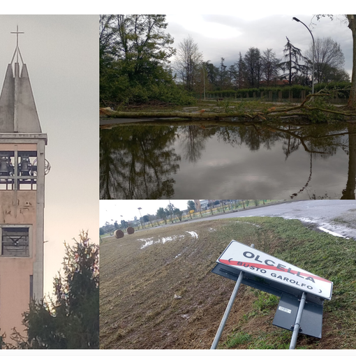 foto per cortesia di Gaia Giudici e del gruppo Sei di Olcella se