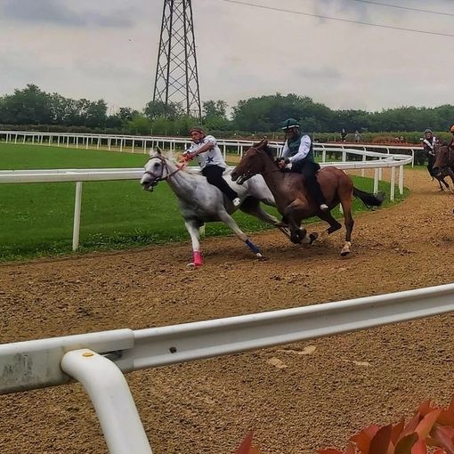 I cavalli sono tornati a correre in attesa del Palio
