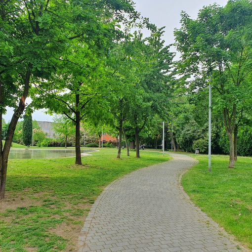 Da quello dei nuovi nati al “bosco di San Giuseppe”. Il punto sui parchi di Busto