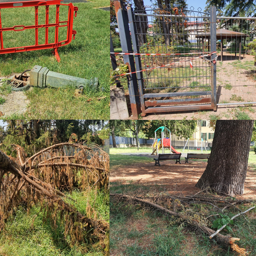 FOTONOTIZIA. Qualcosa non va al parco Principessa Mafalda di Sacconago