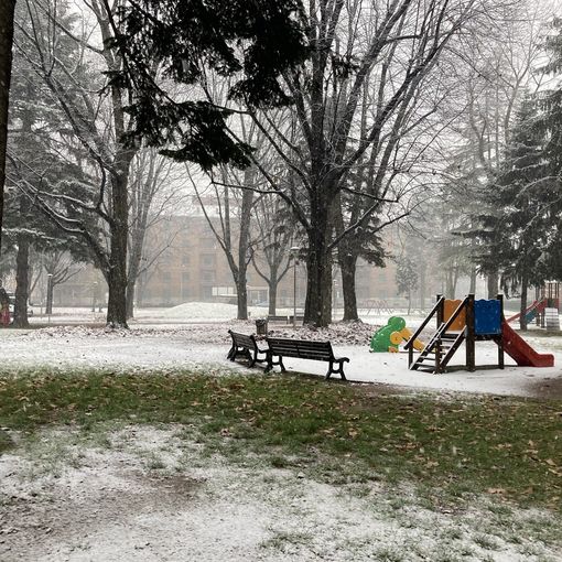 La neve imbianca tetti e giardini (parco di viale Stelvio, Busto ore 11)