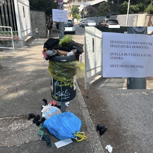 LA FOTO. Lo chiamavano cestino, ma scatta la rivolta: «Non è per la spazzatura domestica, incivili»